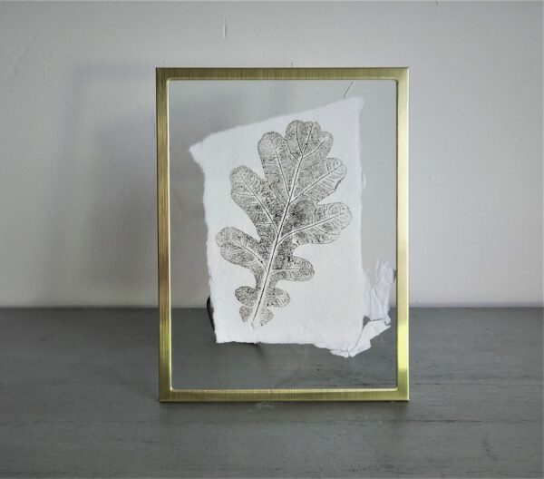 studio immink print monoprint botanical art